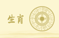 龙腾九天，龙年生肖密码的神秘密码！
