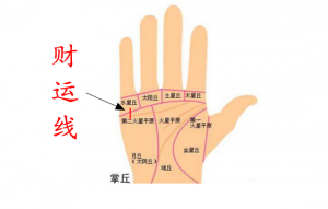 领袖的手相什么样 领袖手相带有兵纹符