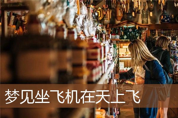 风水堂：梦见坐飞机的梦者