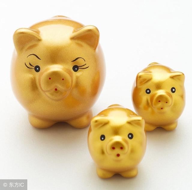 属猪的你今年几岁？