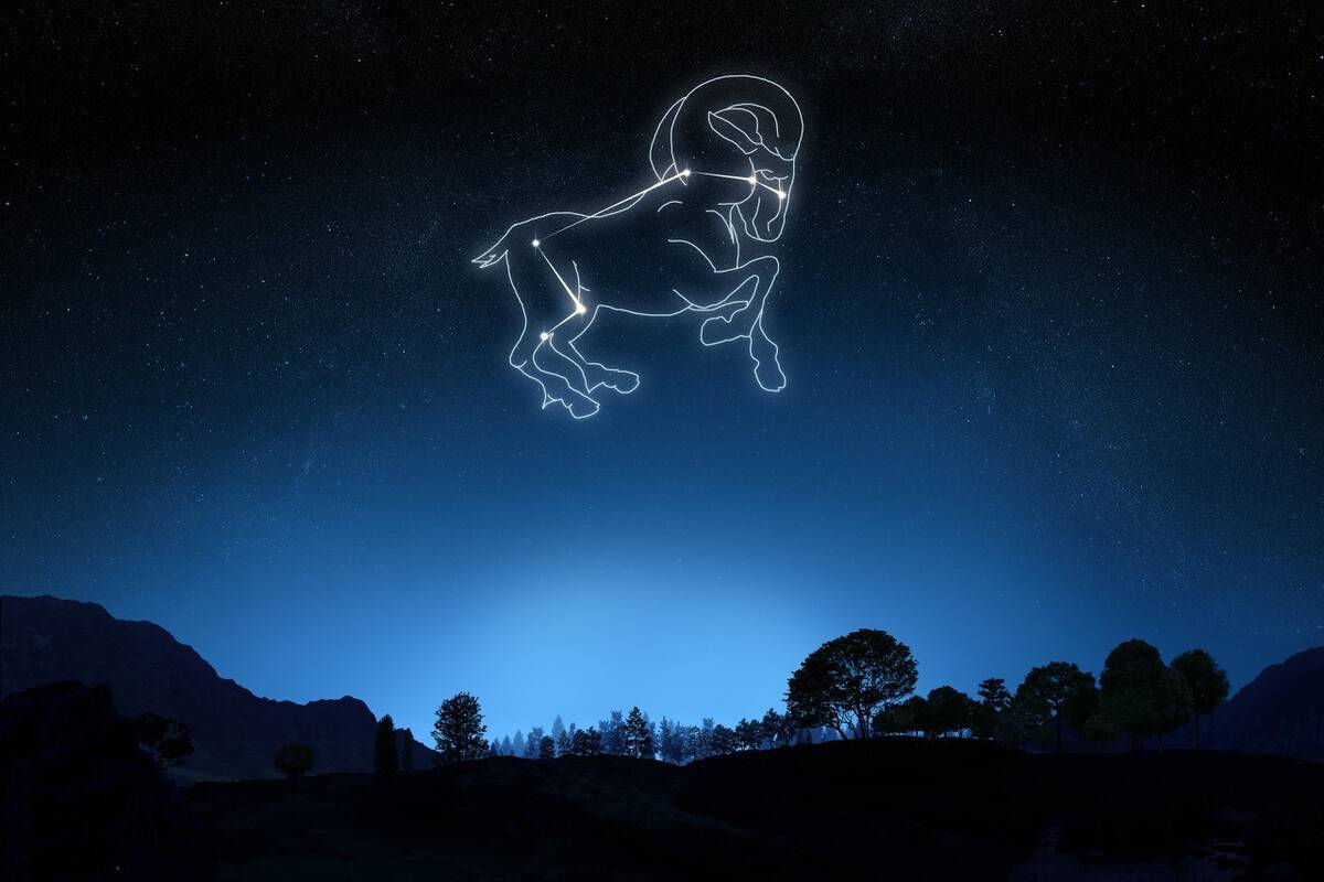 下个月，12星座运势大揭秘！