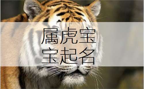属虎小名评测：最吉利之选！
