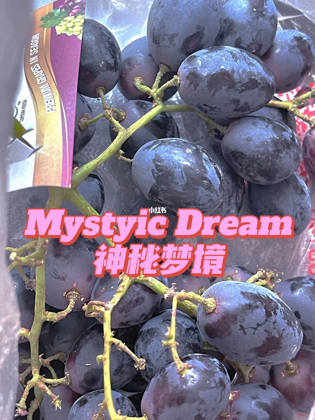 水果梦，财富丰收！
