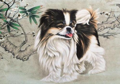 属狗男的幸福婚姻秘诀，揭秘最佳婚配！