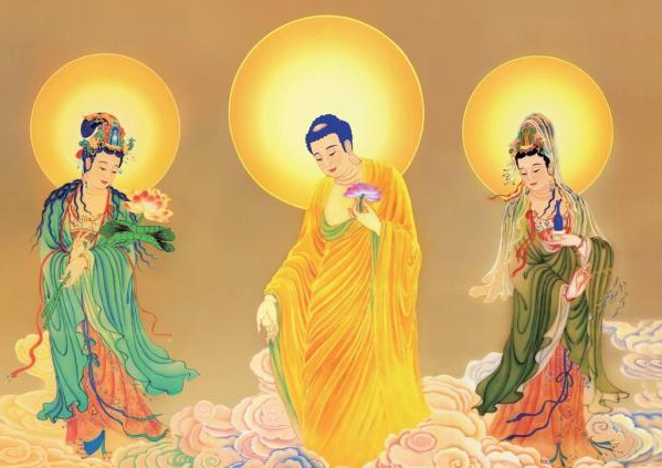 28岁属猪人的最佳结婚年龄生肖猪的姻缘