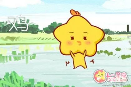 属鸡的男人和属猪的女人的婚姻相配吗
