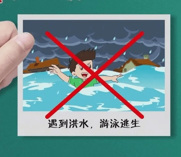 洪水来袭，逃生有妙招！