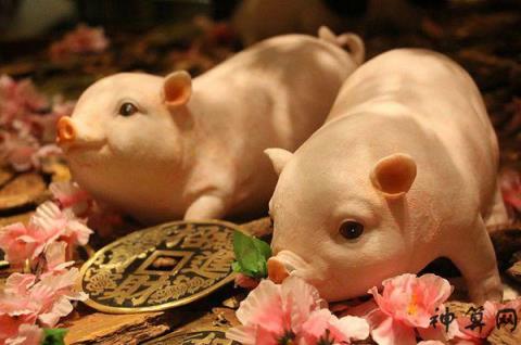风水堂：2019年财运之位，千万不要做错