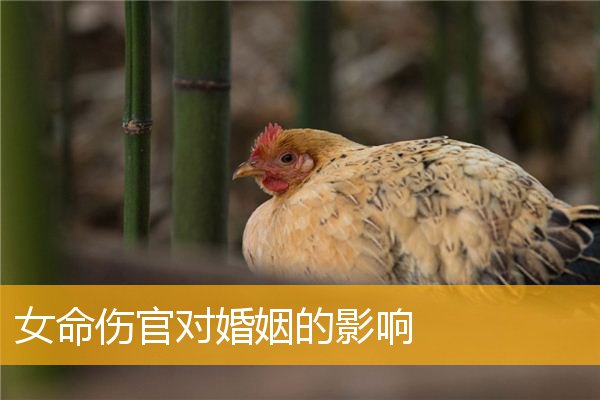 风水堂：生辰八字的婚姻之说