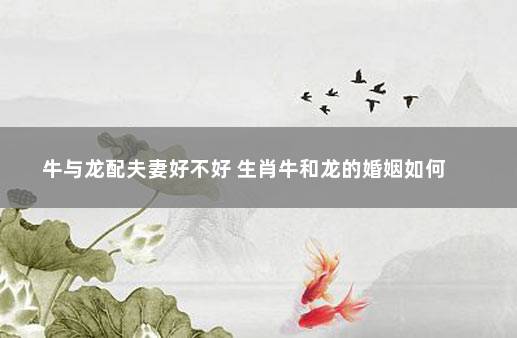 属牛和属龙的人相配吗？龙属相合的婚配好不好