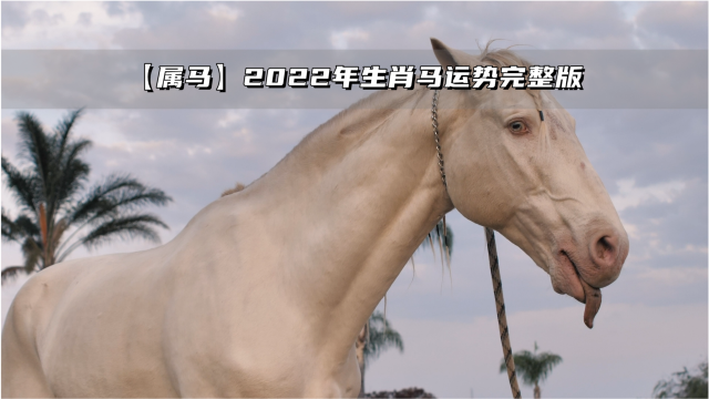 10月份运势大好的三大生肖，有你吗？
