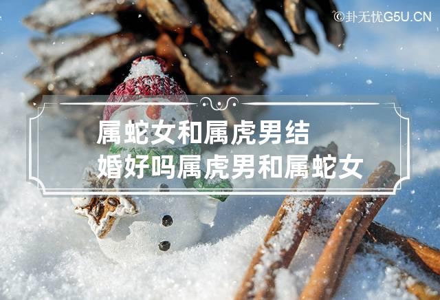 96年男鼠和86年女虎合不合的生肖配对