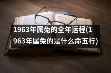 给2023年出生的兔宝宝取什么名字比较好？