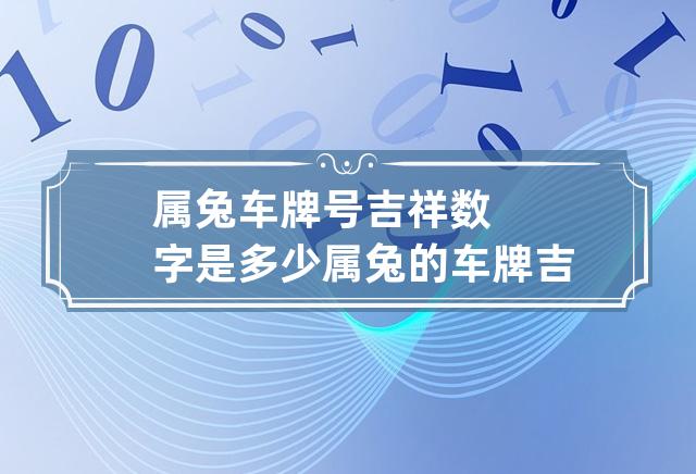 哪些数字对属兔的人最好？你知道吗？