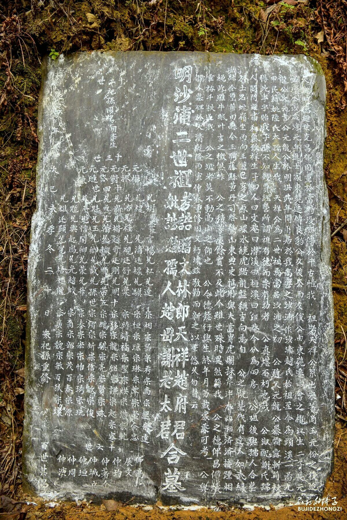 三年级上册名字里的故事作文“百年旧屋子”