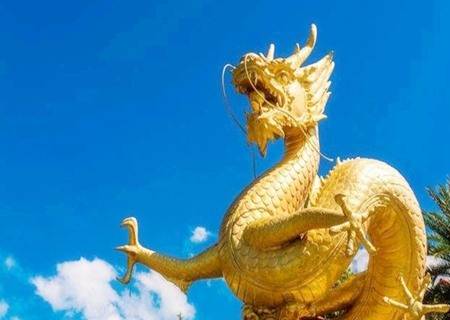 24年出生属龙人一生运势如何，他们这一生有着怎样的运势