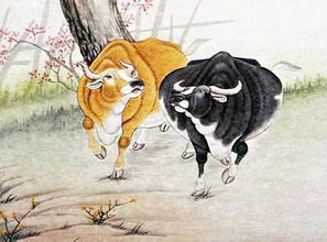 属牛牛和龙合得来的三大生肖，有你吗？