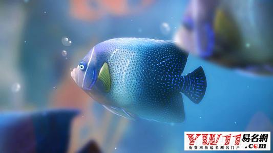 风水堂：梦见水里好多鱼是什么意思