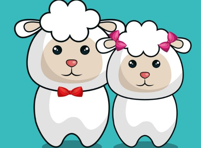 99年属兔女最佳动婚年龄为25岁左右