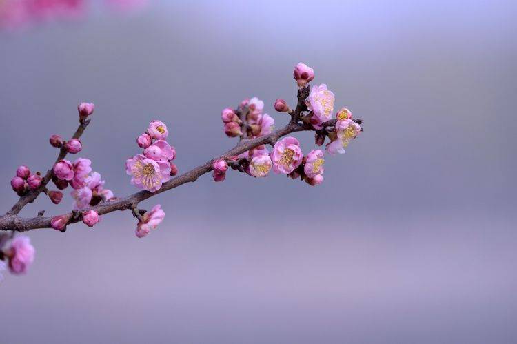 4月27日十二生肖配对姻缘合婚怎么看呢？