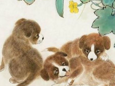 2024年后的四大幸运生肖，有你吗？