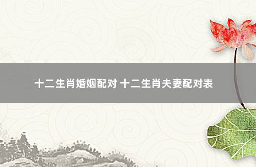 这三大生肖的婚姻生肖，婚姻幸福的源泉，有你吗？
