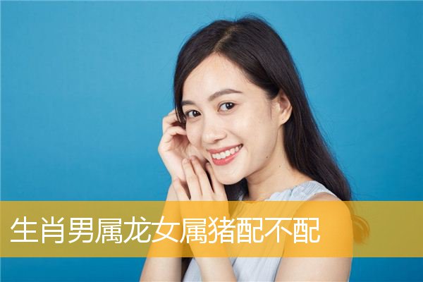 生肖龙的婚姻属相配对，属猪的最佳婚配属相