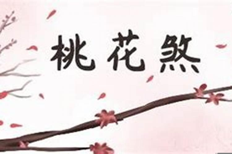 属虎跟属猴的人做生意最合财的生肖