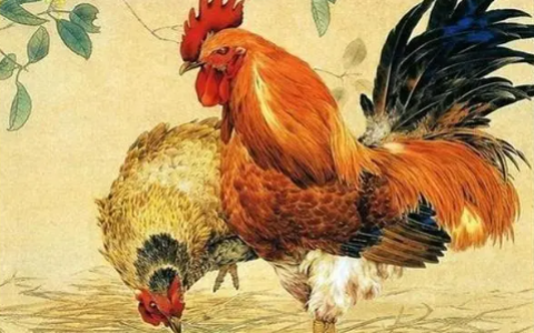 最近7天桃花盛开，情运当头，邂逅良缘的三大生肖