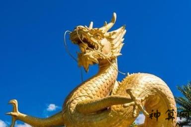 2020年农历正月出生的鼠宝宝好不好？