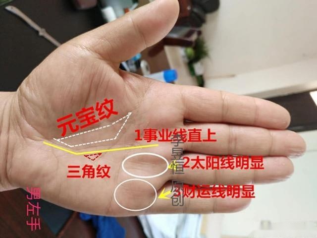 相学手相 掌纹清晰的人大多精明，做事情有章法！