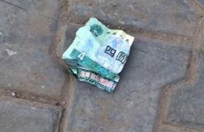 钓鱼界的“鲶鱼王”，你见过几个？