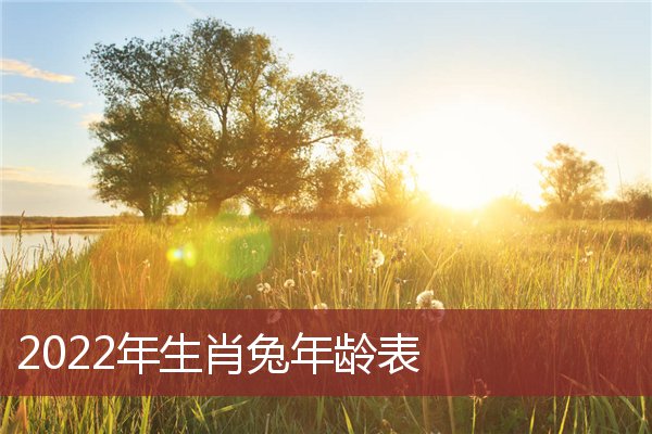 虎哪一年的，虎2020年实岁58岁虚岁59岁