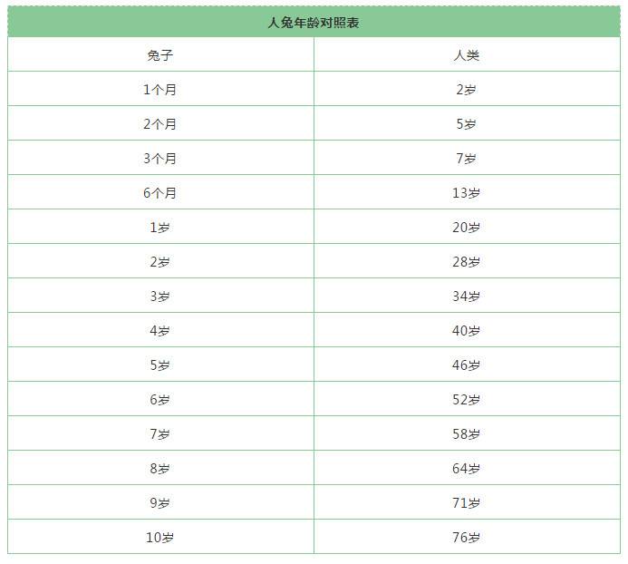 属兔的年份表及年龄1951年，你知道吗？