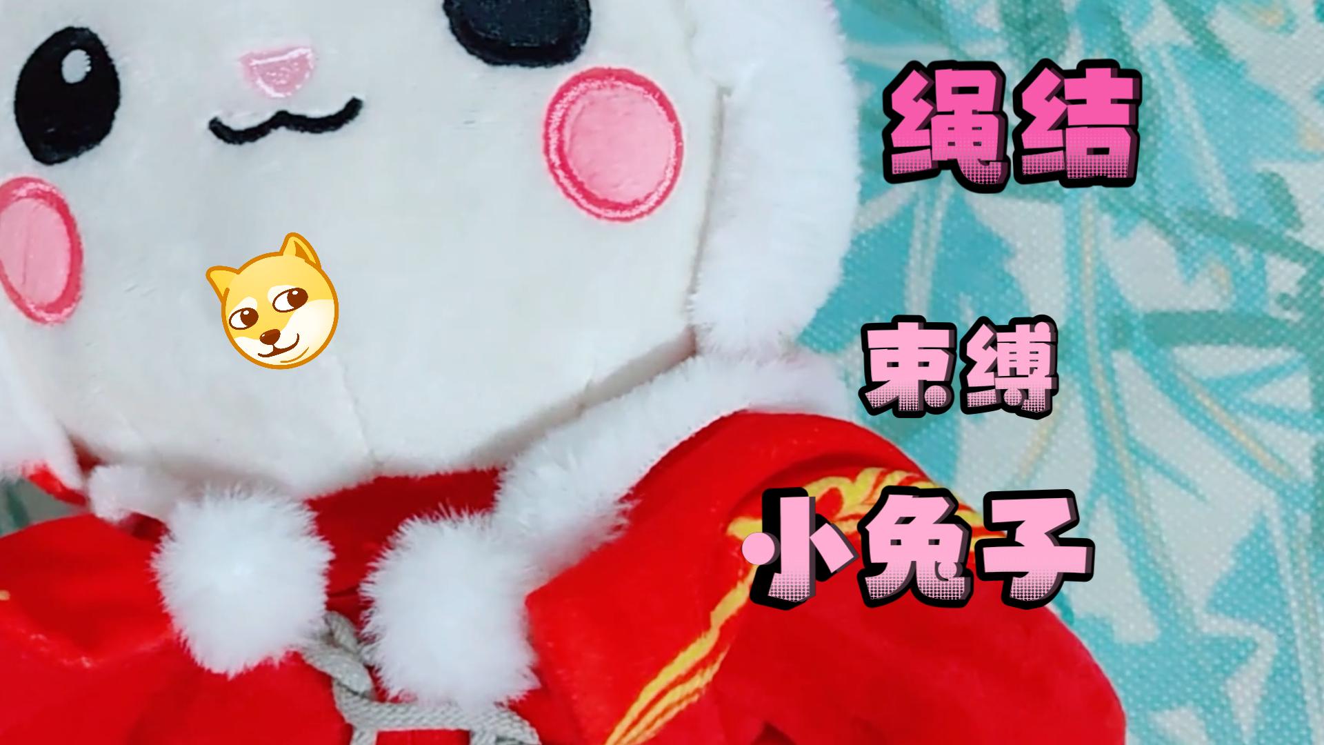 爱情生肖兔的婚姻与爱情属兔女士比较注重男性外表