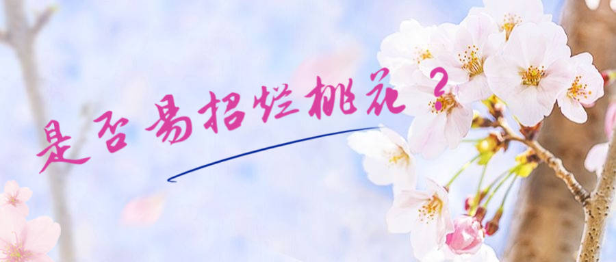 风水堂：桃花运有好桃花也有烂桃花