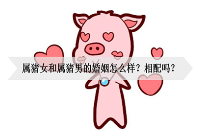 95年属猪的最佳婚配表，你知道吗？