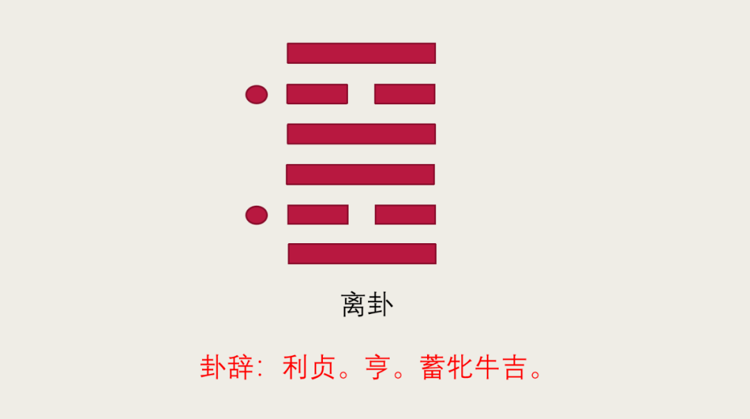 b型血女人的性格特点 B型血女生性格解析