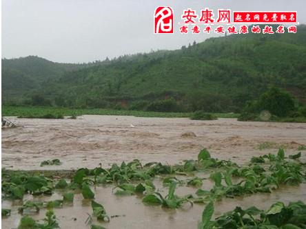 风水堂：梦见大水预示病魔缠身
