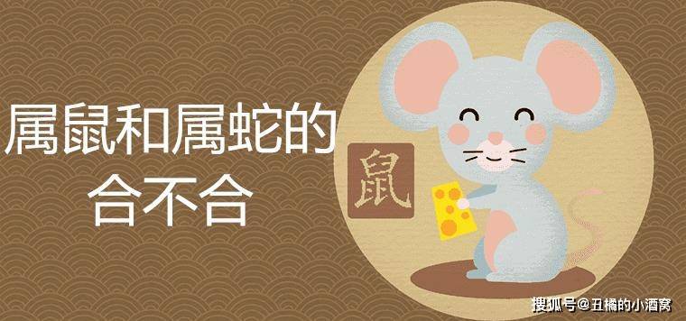 属老鼠的和属蛇的婚姻相配吗?