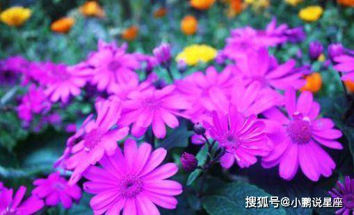 89年出生的属蛇人2021年总体运势