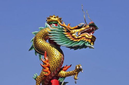 风水堂：11月12生的吉祥数字