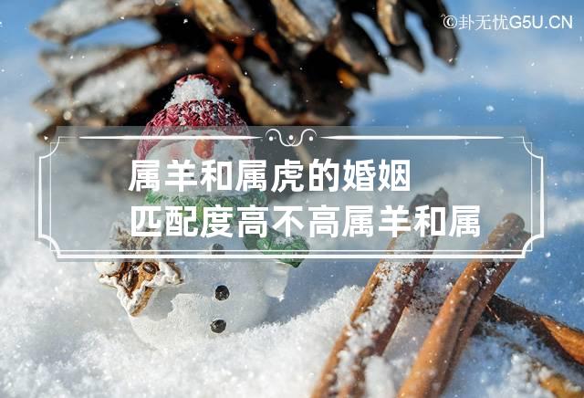 属牛女的婚姻多有冲突，彼此宽容乃良方