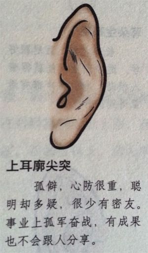 从耳朵看面相，看你的财运是否会被忽略
