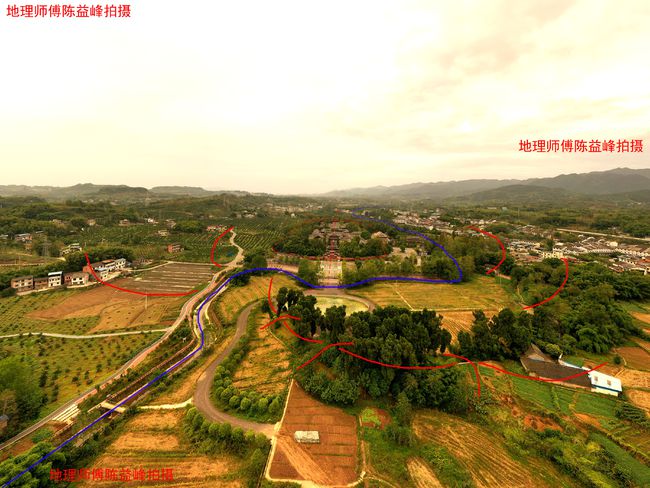 生肖寻桃花，公鸡捡白菜