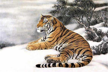 1974年属虎的人2019年运程，你能顺利吗？