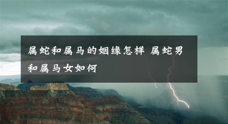属蛇的人和属马的人在一起合适不合适
