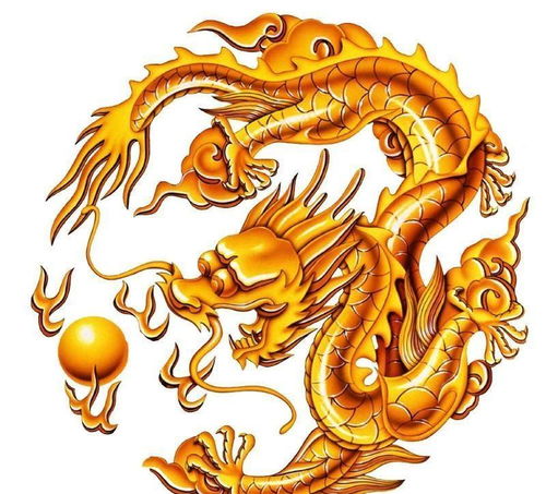 生肖龙女龙和什么属相最配对？有你吗？