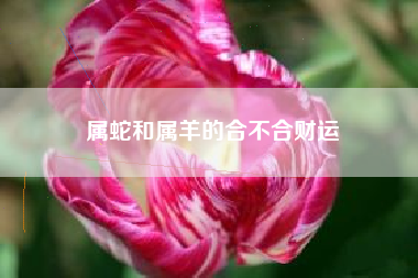 十二生肖中的属蛇男和属羊女的婚姻运势如何