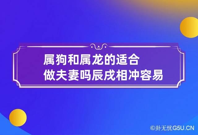 属狗的生肖配对表属龙的婚配好吗?